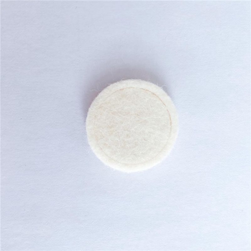 ABBZ-5X Felt Washer For Brevil - огляд і ціна Breville Espresso Bes870