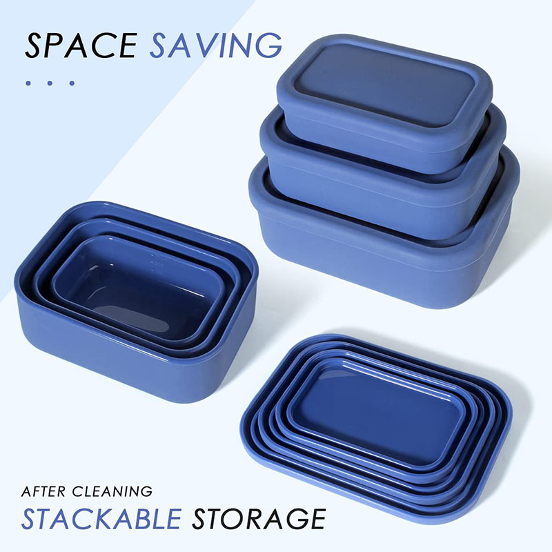 Leak-Resistant Bento Lunch Box - огляд і ціна Meal Prep Tupperware