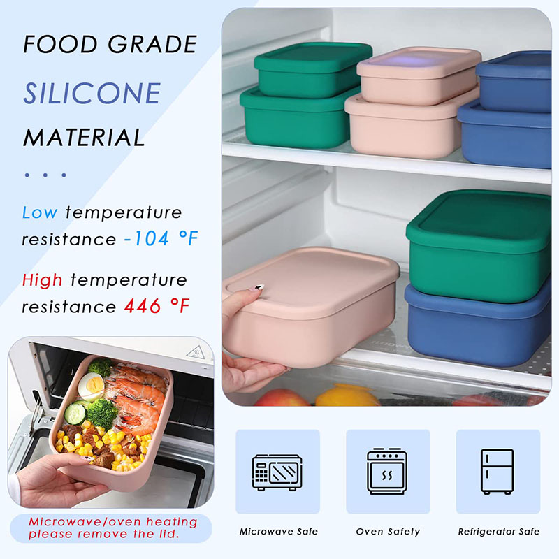 Leak-Resistant Bento Lunch Box - огляд і ціна Meal Prep Tupperware